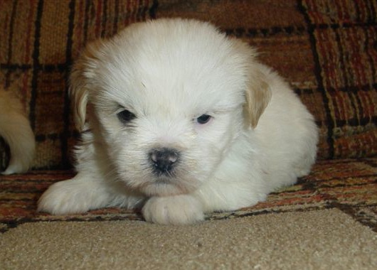082808male1.jpg